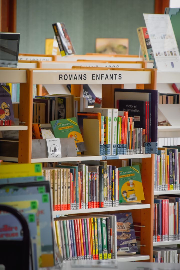 Lecture d'albums pour la jeunesse 