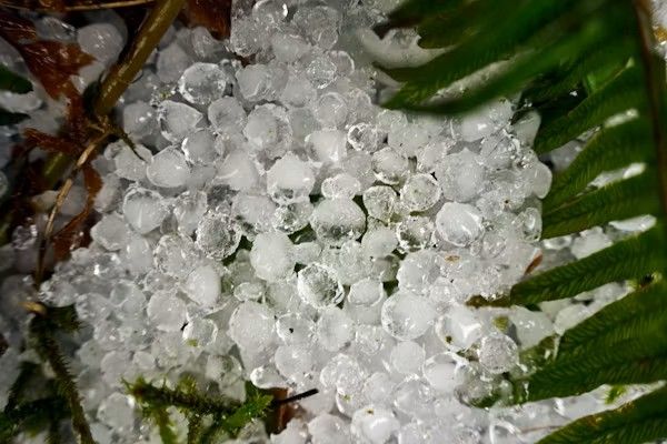 Orage de grêle du 01/06/25 : quelles déclarations faire auprès de votre assurance ?