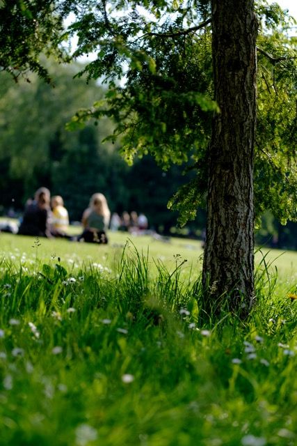 Marche nature à l'Étang de Savigneux
