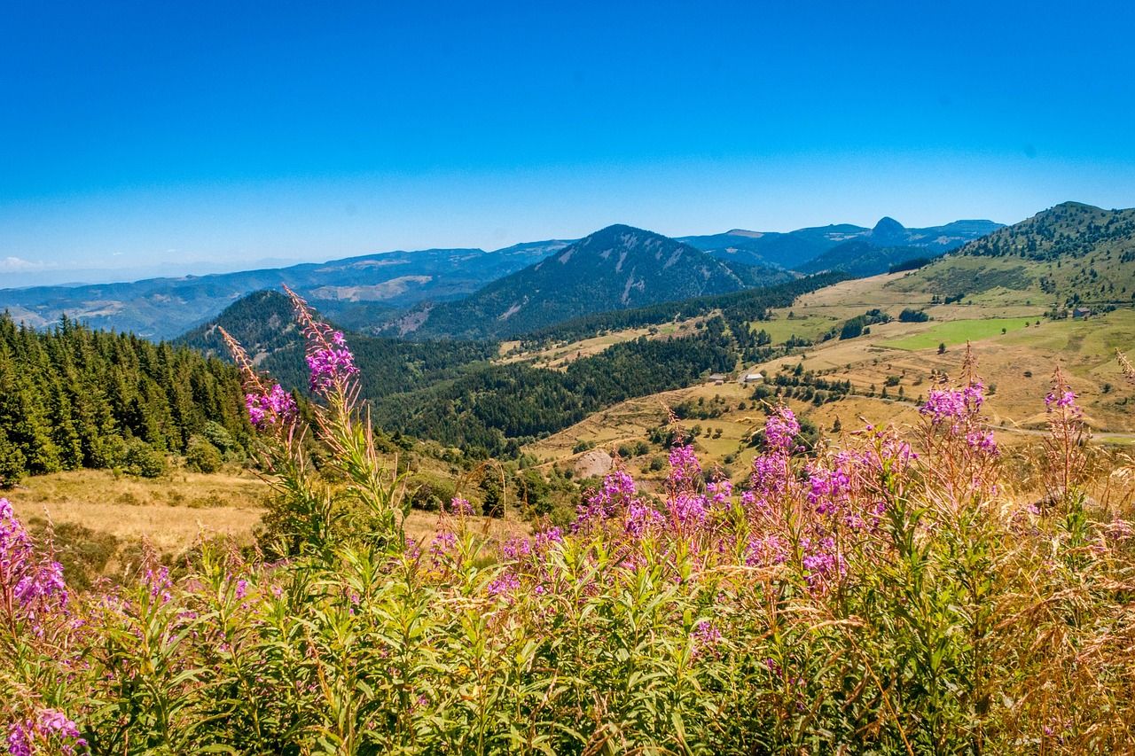 Conférence : à la découverte des volcans du Forez-Velay