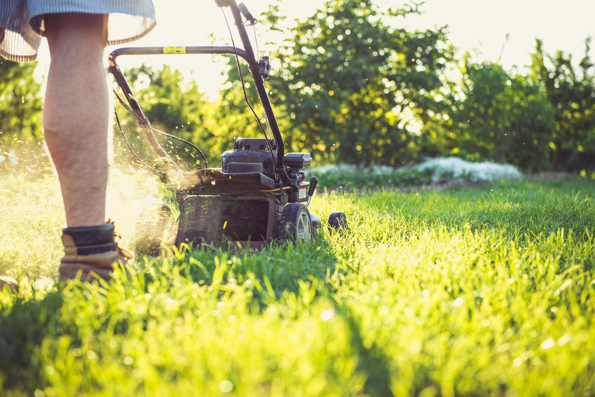 Rappel horaires jardinage et bricolage 